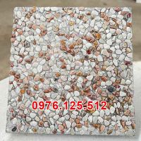 Thi công đá rửa Tp Hồ Chí Minh - Sài Gòn