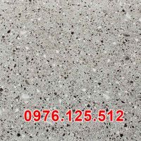 Gạch terrazzo giá bao nhiêu? Chi phí thi công gạch terrazzo?