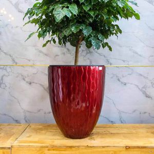 Chậu cây Composite 04