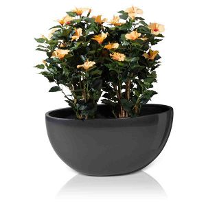 Chậu cây Composite 25